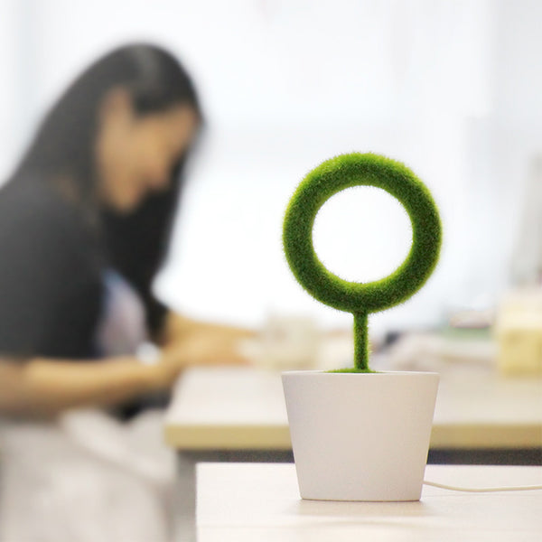 Plant Air Purifier